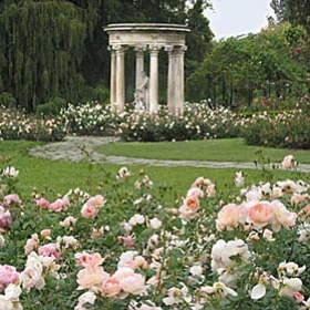 Rose Garden Tea Room Rose Garden Tea Room