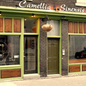 Camellia sinensis