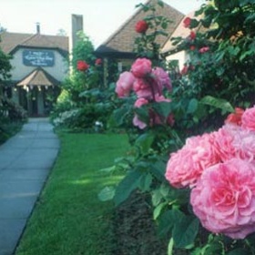 Rose Tree Cottage