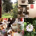 Old Dairy Tearoom