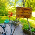 Three Sisters Tearoom