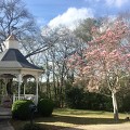The Gazebo Tea Room