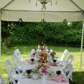 Teas and Toasts